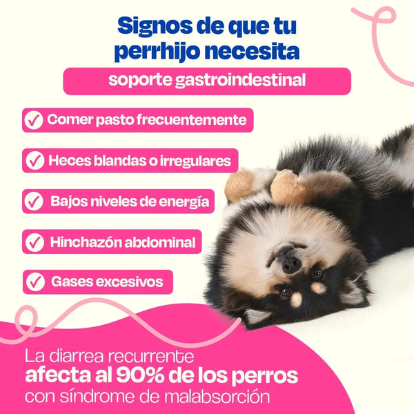 SUPLEMENTO PROBIOTICOS PARA EL SISTEMA 270GR INMUNE DOGELTHY