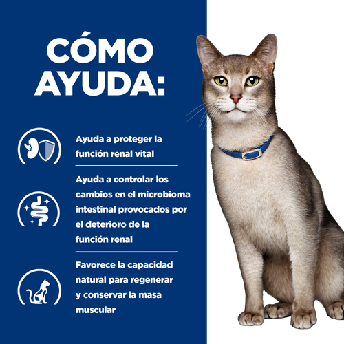 ALIMENTO SECO PARA GATO CON PROBLEMAS RENALES 1.5KG K/D HILLS