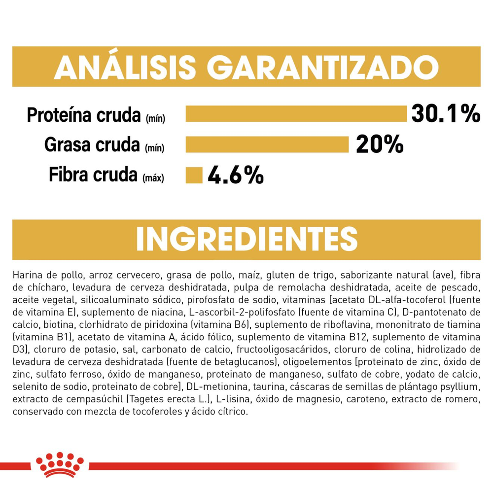 Royal Canin Persian Kitten alimento seco para gatito Persa hasta 12 meses, 1.37 kg