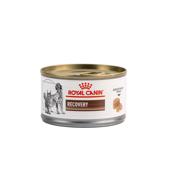 ALIMENTO HUMEDO PARA PERRO RECOVERY EN LATA 145gr ROYAL CANIN