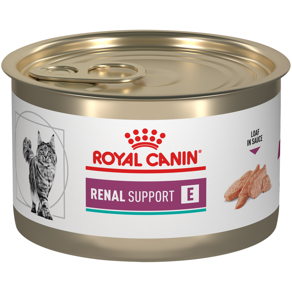 Royal Canin Veterinary Renal Support E alimento húmedo para gato adulto, 145 g