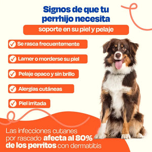 SUPLEMENTO PARA PIEL Y PELAJE 270GR DOGELTHY