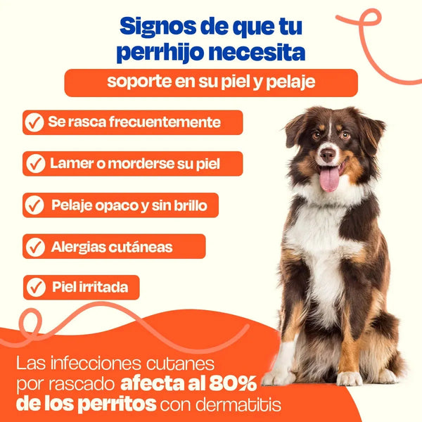 SUPLEMENTO PARA PIEL Y PELAJE 270GR DOGELTHY