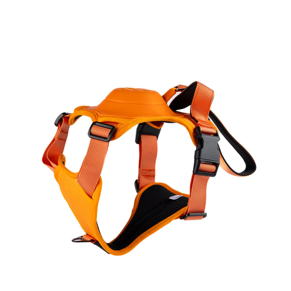 ARNES PARA PERRO CON CORREA RETRACTIL INTEGRADA PET TECH
