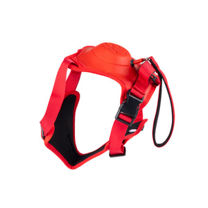 ARNES PARA PERRO CON CORREA RETRACTIL INTEGRADA PET TECH