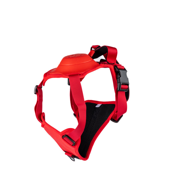 ARNES PARA PERRO CON CORREA RETRACTIL INTEGRADA PET TECH