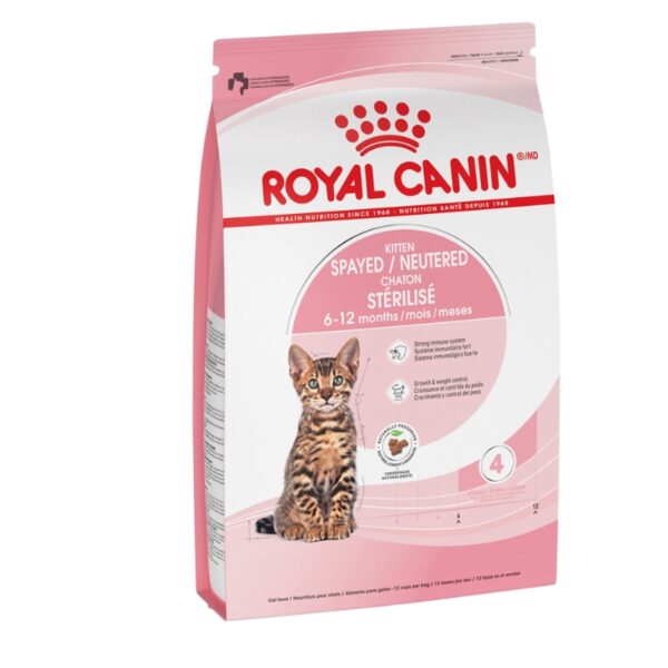 NUTRICIÓN COMPLETA Y BALANCEADA PARA GATITOS