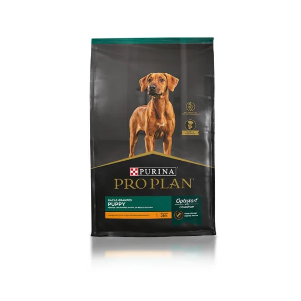 CACHORRO RAZA GRANDE 3.5KG